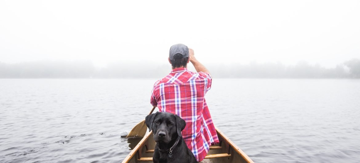 black dog and man in a canoe on a lake on a misty day