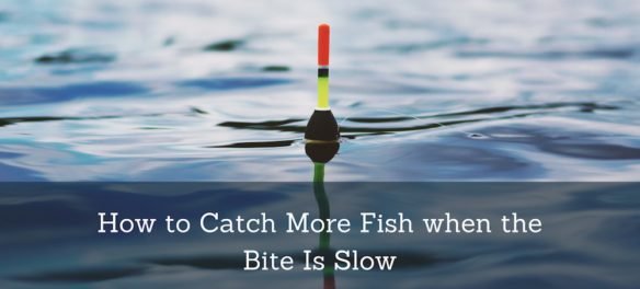 picture of a fishing bobber with the caption: How to catch more fish when the bite is slow.