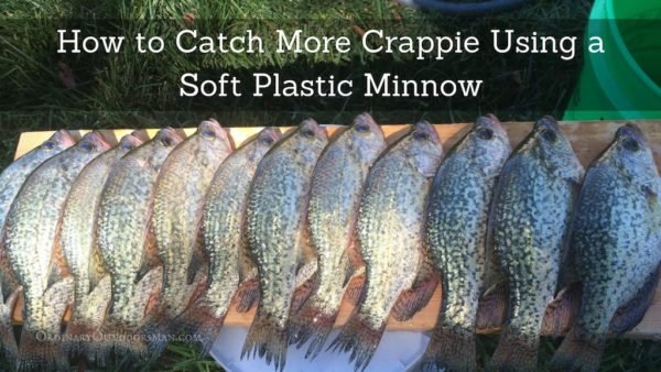 photo of a stringer of crappie with the words "how to catch more crappie using a soft plastic minnow."